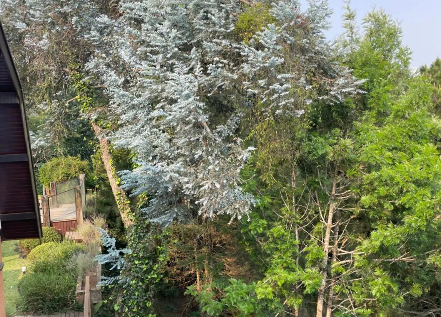 Villa Panorama Campos do Jordao