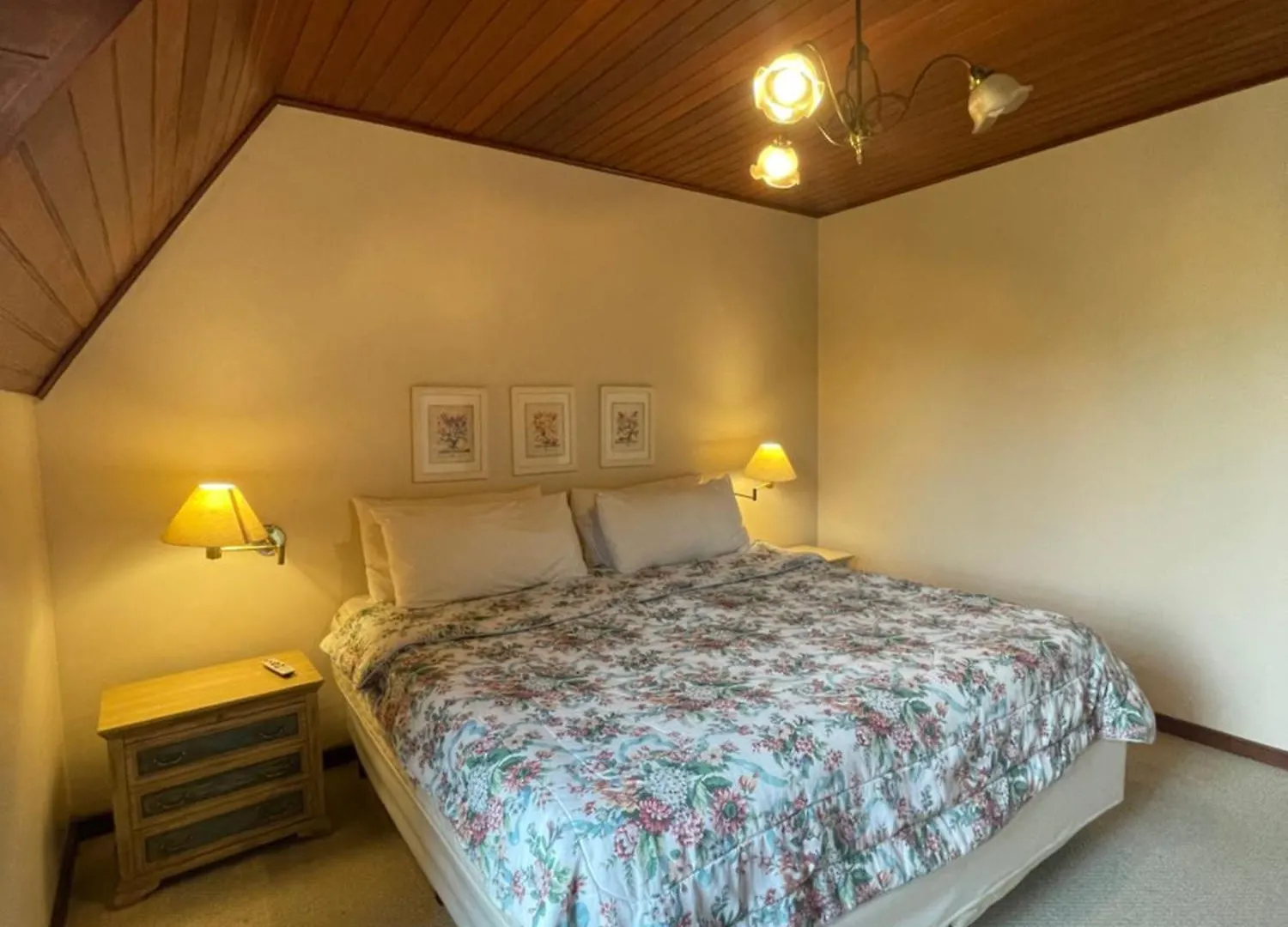 ベッド・アンド・ブレックファスト Villa Panorama Campos do Jordão ブラジル