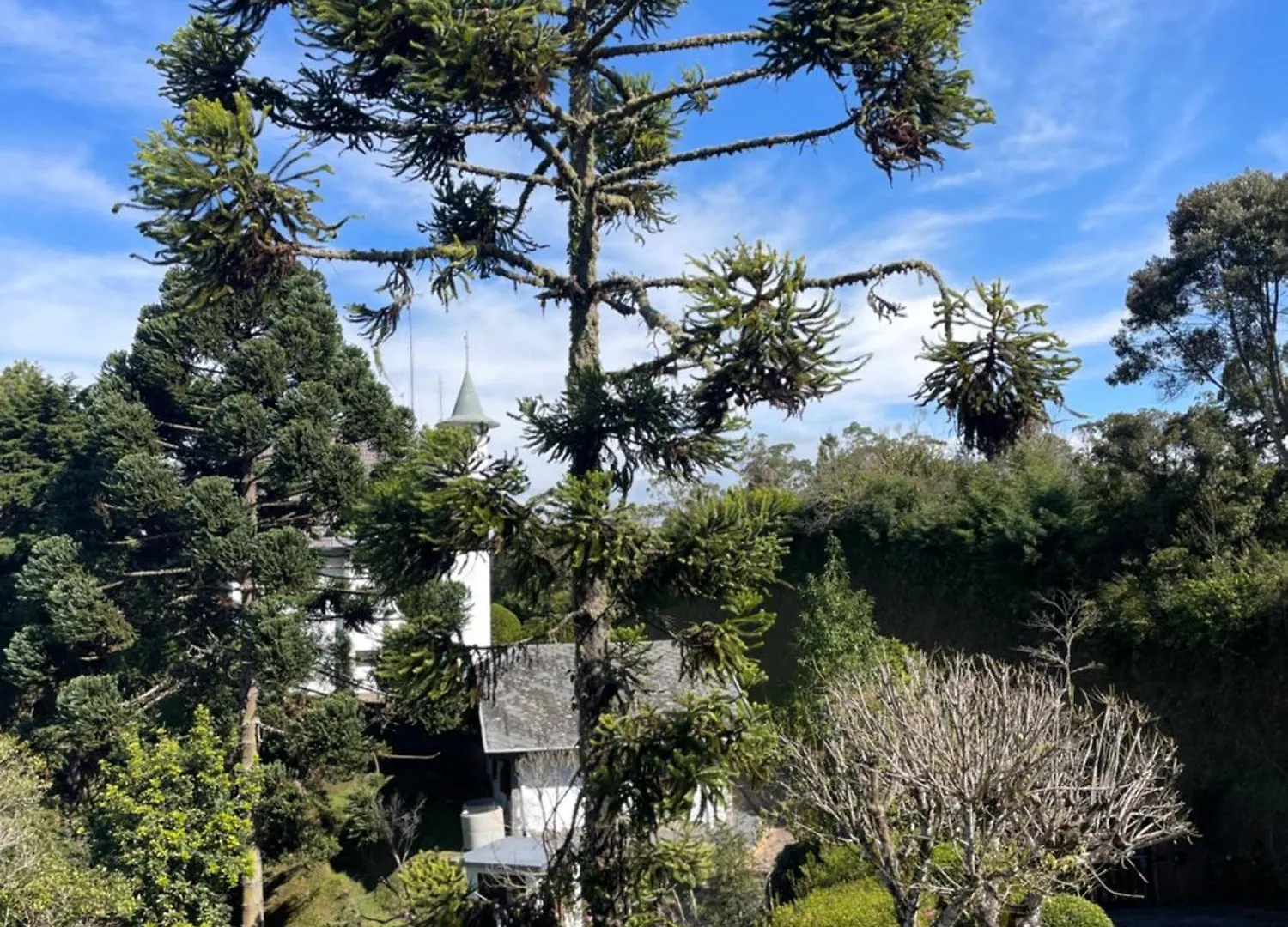 Villa Panorama Campos do Jordão ブラジル